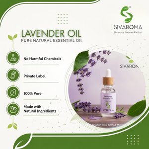 Huile essentielle de lavande naturelle pour les acheteurs B2B |   Huile aromatique à la lavande en gros pour parfums, soins de la peau, soins capillaires, savons, bougies - Product Image 5