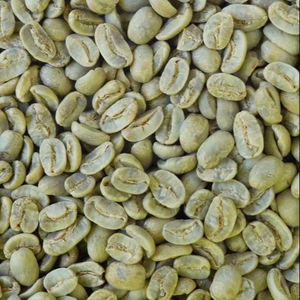 Granos de Café Verde Arábica de Especialidad Sostenible, Tamaño 16, Vietnam, Alta Calidad, Marca TNFOOD, Grado G1/G2, 98% Maduros, Venta al Por Mayor - Product Image 1