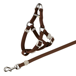Set di Collari per Gatti in Nylon Colorato Assortito - Product Image 1