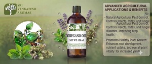 Oregano <b>Essential</b> <b>Oil</b> Steam Distilled Botanical <b>Oil</b> for Cosmetic Personal Care Soap Fragrance Manufacturing Bulk Supply - Product Image 2