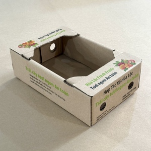 Caja de Cartón Corrugado Ecológica y Resistente para Empaque de Mango Fresco, con Orificios de Ventilación, Reciclable - Product Image 1
