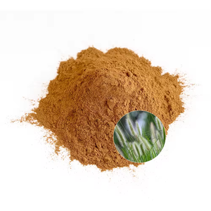 OEM Premium Horsetail Leaves <b>Extract</b> for Hair Growth Natural Horsetail <b>Extract</b> for Stronger Hair Promotes Healthy Hair and Scalp - Product Image 6