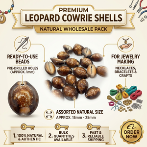 Coquillages de cauris bruns naturels bruts, imperméables, pour artisanat, bijoux et décoration, vente en gros, qualité OEM, export, approvisionnement en vrac mondial - Product Image 6