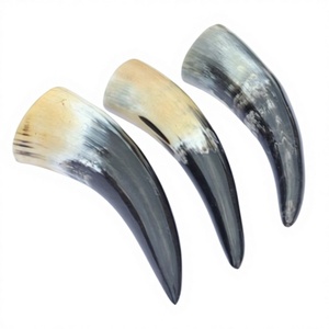 Viking Drinking Horn Organic Material Eco-Friendly Carved Polished Natural Shape Love Theme Wedding Gift - Product Image 4