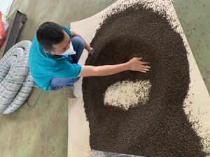 [Fabricante Confiable] Mejor Precio Pimienta Negra 5mm 500 MC 550 MC 1000kg Certificado ASTA Binh Phuoc +84399521266 Sra. Mia - Product Image 2