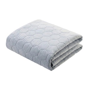 [Daejin Electronics] Tapis chauffant en fibre de carbone, coussin chauffant électrique, emballage prêt pour cadeau - Product Image 1