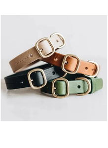 Luxury Anti-Lost PU Leather Dog <b>Collar</b> with Soft Padded Foldable Leads - Product Image 2