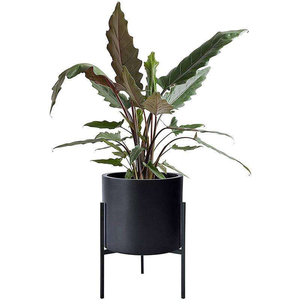 Pot de fleurs en métal fait main, design moderne, noir, de qualité supérieure, pour la maison et le jardin, très vendu, nouveau pot de fleurs fantaisie - Product Image 2
