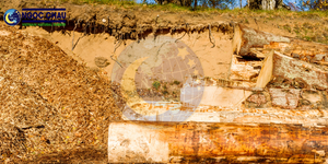 Copeaux de bois de pin NGOC CHAU, taille et emballage personnalisables, origine Ho Chi Minh City - Product Image 3