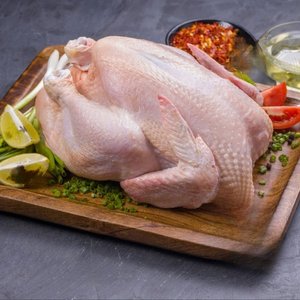 Pollo Entero Congelado Premium, Certificado Halal, Grado A, Fresco y Procesado, Suministro al por Mayor para Distribución de Alimentos - Product Image 6
