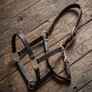 Cabestro de cuero duradero, doblemente cosido, hecho a mano, en negro, marrón y rojo, personalizado y ajustable para carreras de caballos, con accesorios. - Product Image 5