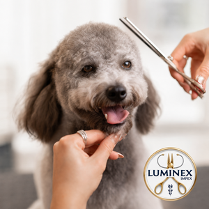 Premium Pet Grooming <b>Scissors</b> Set – Made from High-Quality Stainless Steel, Professional <b>Dog</b> & Cat Hair Cutting Kit with Case - Product Image 1