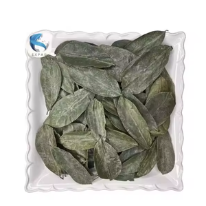 Natural Sun-dried SOURSOP/GRAVIOLA LEAVES FOR <b>TEA</b> - VIETNAM SUPPLIER - Product Image 6