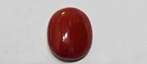 ปะการังแดงธรรมชาติจากอิตาลี รูปทรงแบนรูปไข่ สีสวย คุณภาพดี น้ำหนัก 12 กะรัต พลอยเม็ดเดี่ยวสำหรับทำเครื่องประดับ - Product Image 1