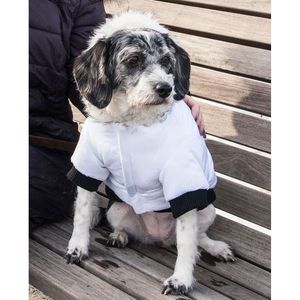 Cappotto Parka Elegante per Animali Domestici Aspen Winter White, Abbigliamento Alla Moda per Animali - Product Image 4