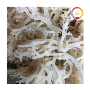 Mousse de mer en vrac |   Eucheuma Cottonii séché |   Algues Marines Biologiques Brutes |   Fabricant Fournisseur Vietnam - Product Image 1