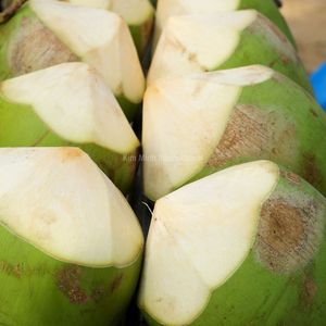 Fournisseur de noix de coco fraîches du Vietnam, noix de coco vertes jeunes de qualité supérieure - Product Image 2