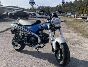 Moto de rue Dax 2026 1000-1500cc pour adultes - Product Image 1