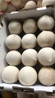 Verse jonge kokosnoot uit Vietnam, gemaakt van natuurlijk kokosnootschelpmateriaal, ideaal voor horeca en drankverwerking.