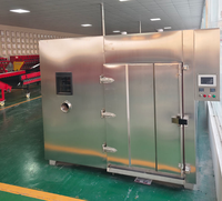 Machine de Fermentation d'Ail Noir de 100-200 kg pour Usage Commercial