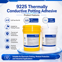 Composé de scellement en silicone bicomposant thermoconducteur A/B 1:1 par poids, étanche et isolant pour la construction, APSI 9225AB