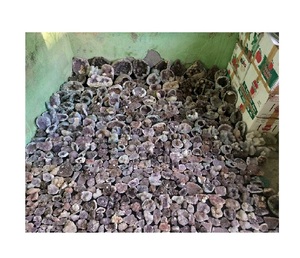 Lote de Geodas de Amatista Púrpura Natural Rara y Apofilita, Clústeres de Cristales Únicos para Decoración del Hogar y Meditación - Product Image 1