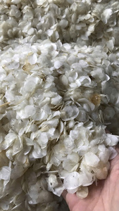 Écailles de poisson séchées en gros pour la production de peptides de collagène à haut rendement, matière première nettoyée et séchée au soleil pour les marchés d'exportation mondiaux - Product Image 4