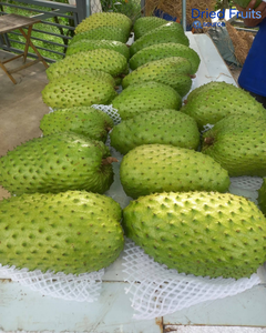 พริกหยวกอบแห้งเวียดนาม 100% ผลไม้เมืองร้อนรสหวานเผ็ดธรรมชาติ ขนมขบเคี้ยวพร้อมรับประทาน ผู้ผลิต OEM/ODM - Product Image 5