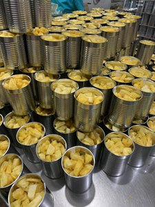 Canned Pineapple Ananas Pieces in <b>Light</b> Syrup 14 - 16 Brix for Smoothie Fruit Salad Ingredient Uniform Thickness Eat Directly - Product Image 5