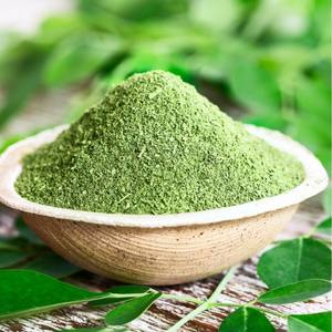 Poudre de feuilles de Moringa en gros pour le soutien naturel de l'immunité et de la digestion, extrait de feuilles de Moringa 10:1 - Product Image 4