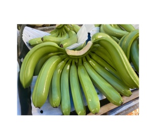 Asia Farm Agriculture Fresh Green Cavendish Bananas 13kg Cartón con etiqueta de Exportación personalizada para exportación mundial - Product Image 6