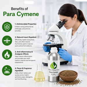 Natures Natural India OEM Para Cymene Pure Aroma Chemical 100% Puro Destilado al Vapor C10H14 de Semillas de Comino - Product Image 5