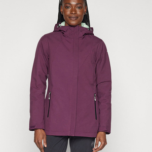 Wholesale Women's Hooded <b>Waterproof</b> Windbreaker Breathable Softshell <b>Jacket</b> with Wool Lining for Winter Outdoor Mountain Hiking - Product Image 1