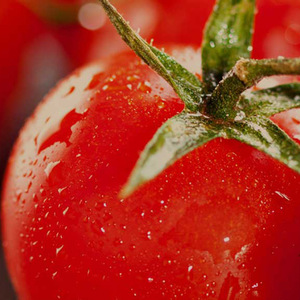 Sốt Mì Ống Bella Parma Ý Chất Lượng Hàng Đầu Với Cà Chua & Húng Quế Trong Jar 12X350G Không Thêm Muối Giá Tốt Nhất - Product Image 2