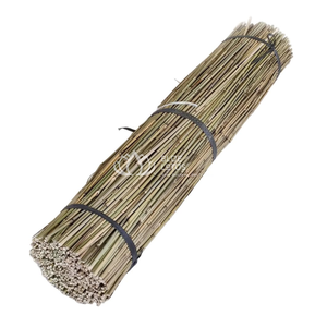 Pôles en bambou écologiques de haute qualité, très demandés, de qualité supérieure, durables, pour le soutien des plantes, agriculture, en vrac - Product Image 1