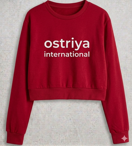 2026 Custom Women Oversize Turtleneck Lightweight Solid Fleece 100% Cotton Winter 3D Embroidery Streetwear <b>Drop</b>-shoulder - Product Image 1