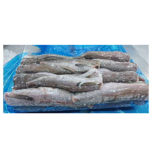 Pescado entero de caballa fresca congelada, filete de caballa congelado disponible. - Product Image 4