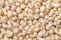 Indian SEEDLY GLOBAL 100% Premium Grade Foxnuts Makhana 12-19mm Camilan Protein Tinggi Serat Tinggi Bebas Pestisida dan Residu Kelas Makanan