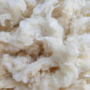 100% Cotton Waste Fiber Comber Noil/Bleached Comber Noil for Spinning Factory with Negotiabble Price Guarantee Factory -Florence - Product Image 6