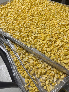 Cubes de mangue lyophilisés, fruits naturels de qualité supérieure pour mélange de collations, granola, garniture pour petit-déjeuner, approvisionnement direct d'usine du Vietnam - Product Image 1