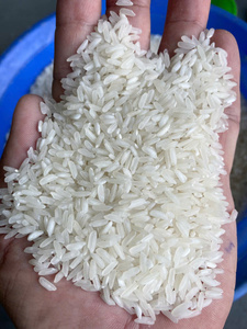ผู้ส่งออกชั้นนำของเวียดนาม |   ข้าวขาวเมล็ดยาว อโรมา อาร์ซอส ริซ - ผลผลิตใหม่ ปี 2026 ISO, HACCP, HALAL |   คุณออโรร่า+OO84919574297 - Product Image 2