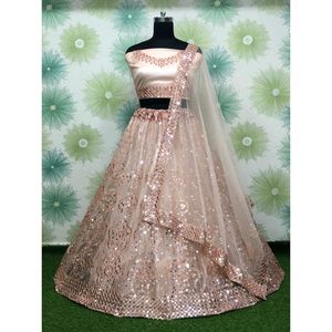 MAGNÍFICO NETO BORDADO SECUENCIA TRABAJO LEHENGA CHOLI CON DUPATTA CHIKU - Product Image 1