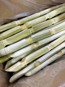 Rodajas de caña de azúcar congeladas IQF para catering y fabricación de bebidas, materia prima vegetal dulce natural para exportación global. - Product Image 5