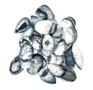Ópalo Dendrítico Natural de Alta Calidad, Formas Mixtas, Lote a Granel de Gemas Sueltas para Fabricación de Cabujones de Piedra Hechos a Mano para Proveedores - Product Image 1