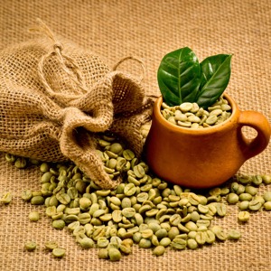 Fournisseur direct d'usine, grains de café vert Arabica biologique, taille 16, certifié USDA et ISO 22000, faible taux de défauts 0,1%, export Vietnam - Product Image 1