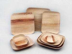 Assiettes carrées en feuilles de palmier compostables de qualité supérieure, 10 pouces, lot de 50 pièces, biodégradables, durables, compatibles micro-ondes, écologiques - Product Image 1