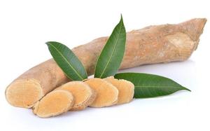 BEST SELLER Tranches de racine de Tongkat Ali séchées et purifiées, à humidité contrôlée, Eurycoma Longifolia pure en vrac - Product Image 1