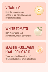 Sachet probiotique avec 10 milliards de CFU 30 bâtonnets antioxydant et soutien digestif - Product Image 2