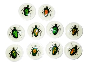 Cabujón de Plástico Redondo de 38.5x38.5 mm con Diseño de Escarabajo Chafer Verde, Base Plana Brillante para Manualidades y Joyería - Product Image 2