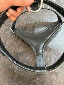Arnés de Cuero Negro Premium para Perro con Púas, Costuras Duraderas, Hebilla Ajustable, Chaleco de Entrenamiento para Mascotas OEM - Product Image 3